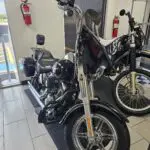 2006 HD Fat Boy full